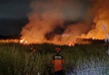 Kebakaran Lahan Gambut Ogan Ilir Hanguskan 10 Hektare