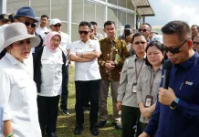 Dorong Swasembada Bawang Putih Nasional, Bapanas Perkuat Perbenihan