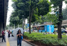 WFH Dinilai Tak Efektif Hemat Energi Nasional saat Krisis