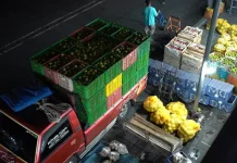 Program MBG Dongkrak Penjualan Jeruk di Pasar Gede Solo