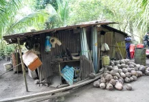 Pemulihan Pascabanjir, Pemerintah Percepat Renovasi 1.000 Rumah di Sitaro