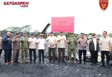 Mengenal Satgas PKH, Tim Khusus Penertiban Kawasan Hutan Indonesia