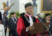 Jejak Karier Liliek Prisbawono hingga Jadi Hakim MK