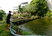 MBG Dinilai Tingkatkan Permintaan Ikan Konsumsi di Daerah