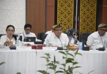 DPR Dorong Penguatan Fasilitas Imigrasi di Wilayah Perbatasan