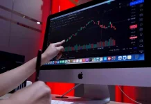 Jangan Panik saat 'Bear Market'! Ini 5 Cara Cerdas Lindungi Aset Kriptomu