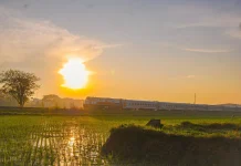 Warga Jakarta Bisa Liburan ke Purwakarta dengan Tarif Rp8.000