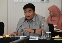 Dracin Raup Keuntungan, DPR Tegaskan Indonesia Tidak Boleh Sebatas jadi Pasar