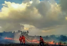 BPBD Natuna Intensifkan Patroli-Sosialisasi Cegah Karhutla Dampak El Nino
