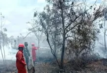 BMKG Deteksi 30 Titik Panas di Bengkulu: Waspada Ancaman Karhutla