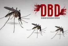 Fenomena El Nino dapat Tingkatkan DBD