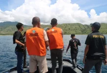 Kemenhut Tegas Lindungi Ekosistem Komodo dari Perburuan