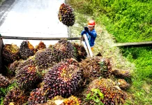 Akademisi: Model Ekonomi Sirkular Mengubah Limbah Menjadi Produk Bernilai Tambah