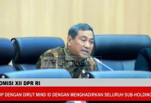 DPR Kompak Dukung MIND ID, Siap Beri 'Karpet Merah' untuk Akuisisi Tambang