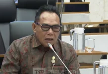 Anggota DPR Dorong Pemerintah Beri Subsidi Pakan Gajah Wisata