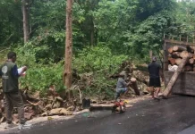 Komisi IV DPR Tegaskan Kawasan Hutan Lindung jangan Masuk Skema KHDPK