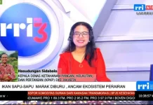 Pemprov Jakarta Perluas Kawasan Pemberantasan Ikan Sapu-sapu