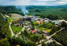 Industri Sawit Perkuat Komitmen Wujudkan Ekonomi Hijau Nasional