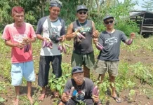 Dari Jalanan ke Sawah, Kisah Petani Punk Gunungkidul yang Kini Pasok Dapur MBG