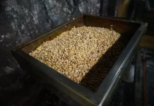 Stok Kedelai Aman, Harga Perajin Tetap Terkendali