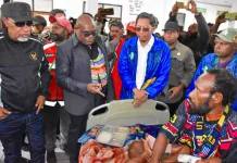 Komnas HAM: Serangan Warga Sipil di Puncak Papua Tengah Pelanggaran HAM