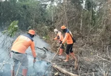 OKI Siaga Darurat Karhutla Lebih Awal, Antisipasi Kemarau Ekstrem