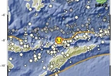 Gempa Magnitudo 5,1 Guncang Laut Banda, Tidak Berpotensi Tsunami