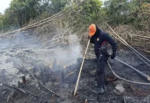Polda Kalteng Kerahkan 7.000 Personel Cegah Karhutla