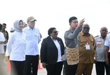 Pastikan Distribusi Logistik Lancar, Wapres Tinjau Dermaga Nabire