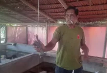 DPR Usul Pembentukan Panja Pengelolaan BBL Atasi Keterbatasan Akses Nelayan