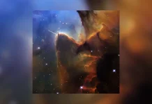 Rayakan Ulang Tahun Hubble, NASA Rilis Citra Bintang-Bintang Muda di Nebula Trifid
