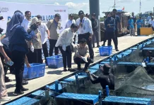 DPR Beberkan Perbandingan Waktu Produksi Lobster di Indonesia dengan Vietnam