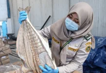Karantina Perketat Mutu, 15 Ton Ikan Asin RI Lolos Ekspor ke Sri Lanka