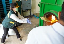 Jaga Keamanan Hayati, Karantina Banten Musnahkan Gulma Invasif dari Australia