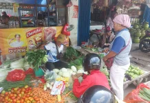Dinas Perdagangan Kota Bekasi Prediksi Harga Sayuran Naik