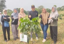 Hari Bumi, Dinas Lingkungan Hidup Bekasi Tanam Seribu Pohon Mahoni dan Tabebuya