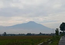 Aktivitas Gunung Slamet Meningkat, PVMBG Minta Pemda-Warga Siaga