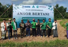 Ansor Bertani: PW GP Ansor Jatim Tinjau Lahan Produktif BUMA di Bawean