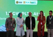 Infrastruktur dan SDM Jadi Kunci Pemanfaatan Energi Surya di Indonesia