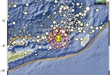 Gempa Magnitudo 5,1 Guncang Timur Laut Maluku Barat Daya