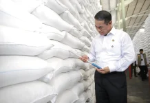 Stok Beras Capai Rekor, DPR RI Tekankan Pengendalian Harga