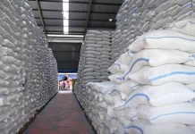 Stok Beras BULOG Tembus 5 Juta Ton, Perkuat Ketahanan Pangan