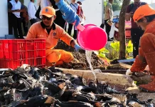 Jaga Ekosistem Waduk, Walkot Munjirin Pastikan Ikan Selain Sapu-sapu Dilepas
