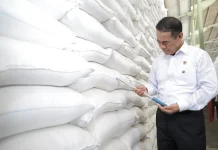 Stok Beras Jawa Timur 1,23 Juta Ton, Perkuat Ketahanan Pangan Nasional