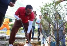 Gencarkan Penghijauan, Wali Kota Bekasi Canangkan Tanam 3 Juta Pohon