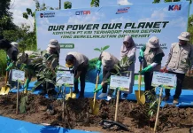 KAI Tanam 4.500 Pohon Produktif di Subang Demi Kelestarian Lingkungan