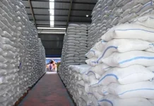 Stok Beras Tembus 5 Juta Ton, antara Ketahanan Pangan dan Realitas Pasar