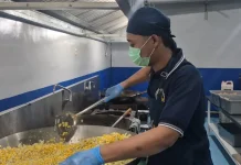 Program MBG Buka Peluang Kerja, Mantan Kernet Jadi Juru Masak