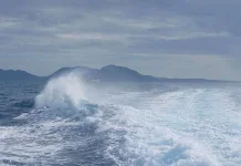 BMKG Imbau Waspada Gelombang Tinggi di Wakatobi