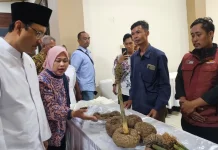 Pendapatan Warga Lombok dan Bandung Naik, Komoditas Lokal Tembus Pasar Global